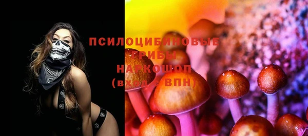 мдпв Белокуриха